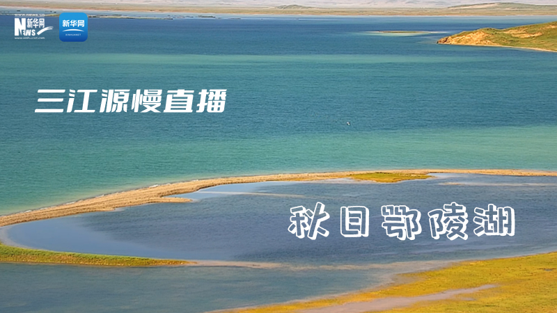 大美中国丨三江源慢直播——秋日鄂陵湖