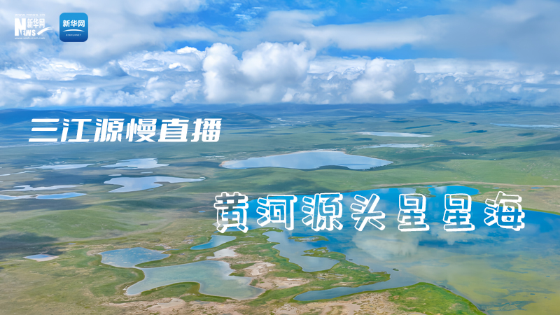 大美中国丨三江源慢直播——秋日鄂陵湖