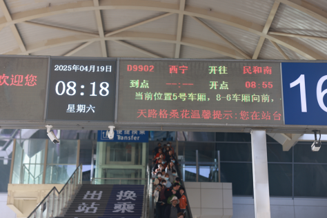 青海省 "银发赏花旅游