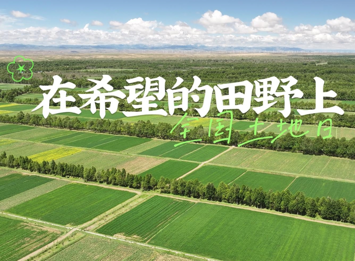 全国土地日｜在希望的田野上