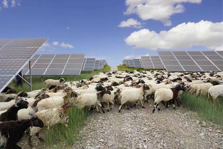 新华每日电讯丨风起塔拉沙变玉-塔