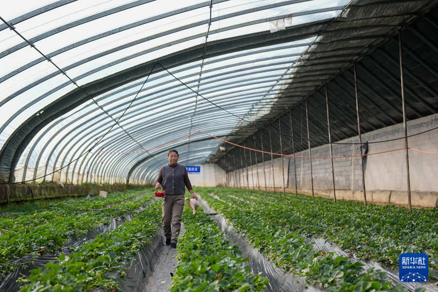 四中全会精神在基层｜青海西宁：探
