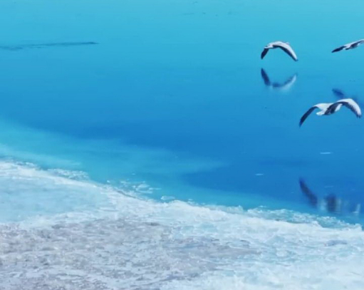 秀我中国|青海湖开湖!“文开”“武开”同框上演