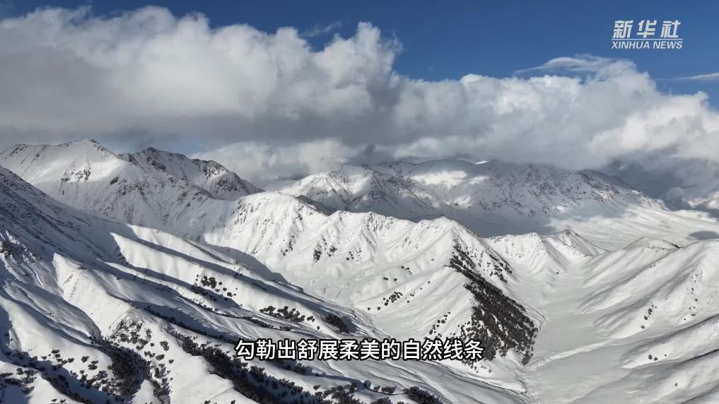 青海克措草原的春日雪韵