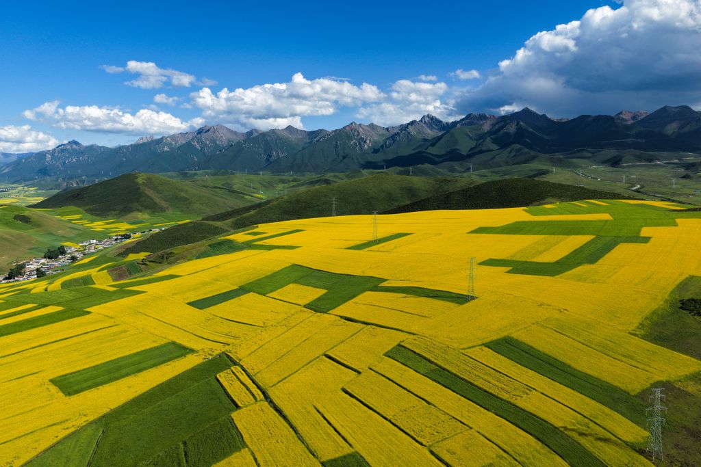 夏日多彩高原
